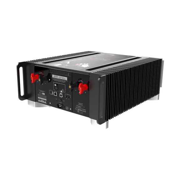 Dig Ml50 ML-50 | Limited-edition Monaural Amplifier